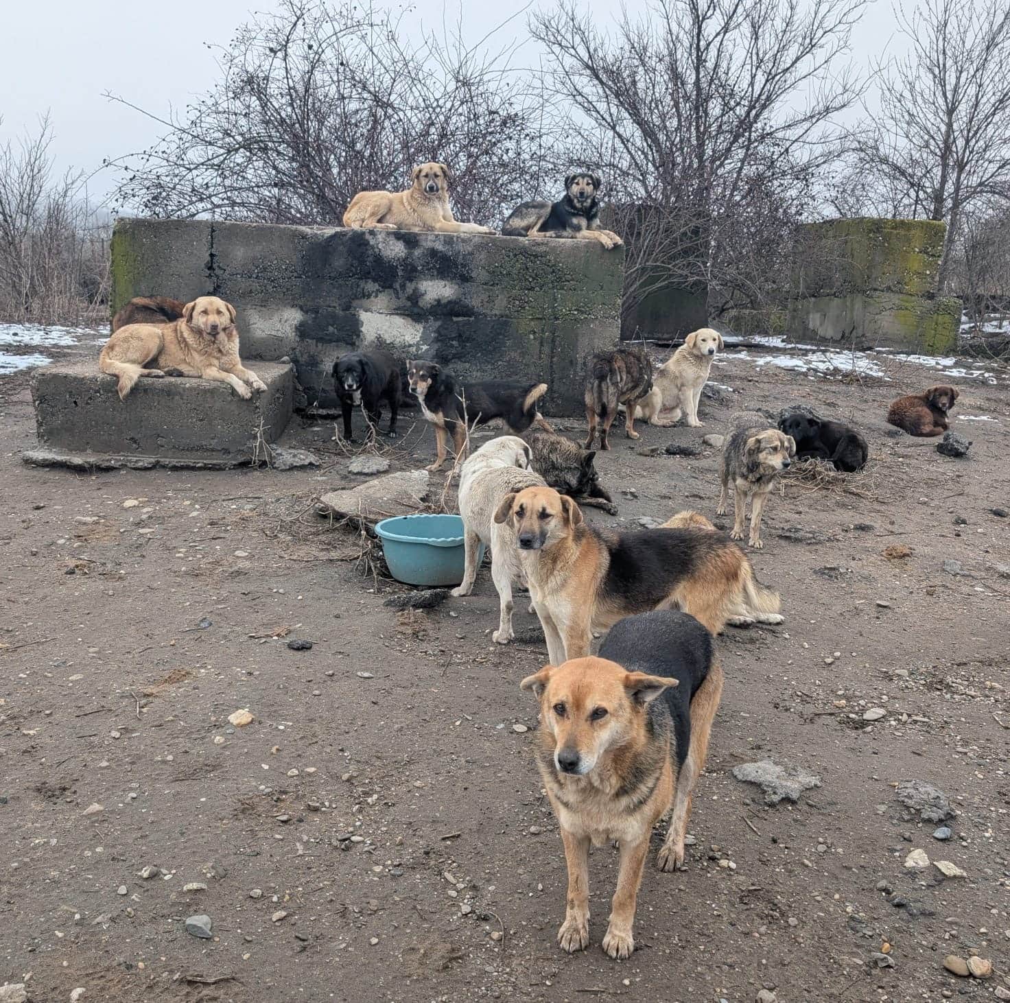 Realität in Vrancea Bild 4