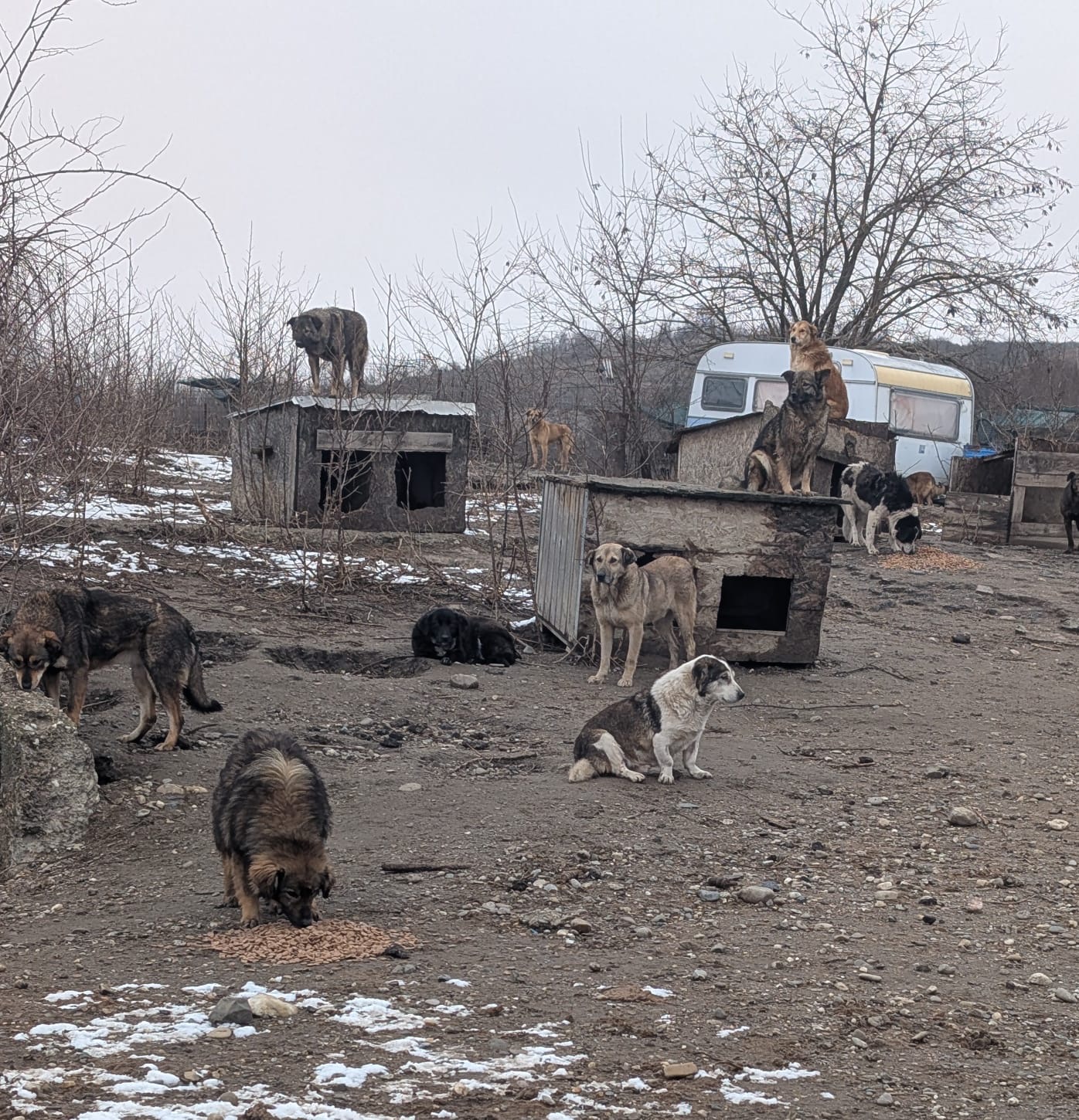 Realität in Vrancea Bild 5